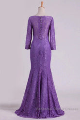 Mermaid V Neck 3/4 Length Sleeve Lace Floor Length Mother Of The Bride Dresses